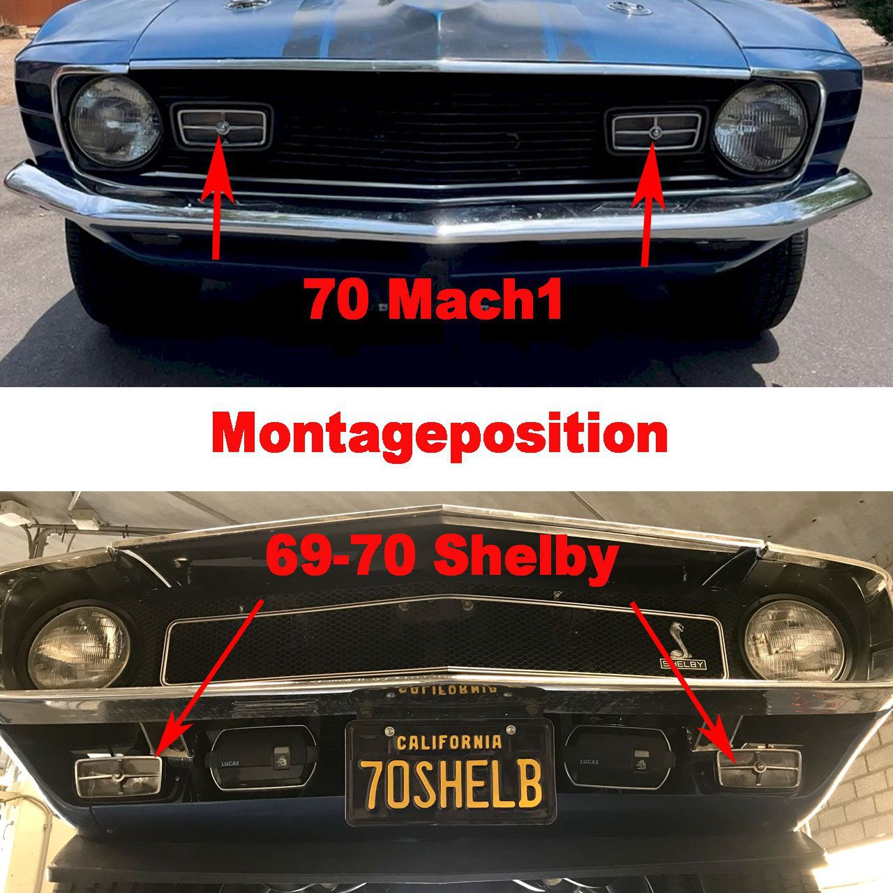Zierblenden für Sport Lamps im Grill für 70 MachI & 69-70 Shelby Zierblenden für Sport Lamps im Grill für 70 MachI & 69-70 Shelby