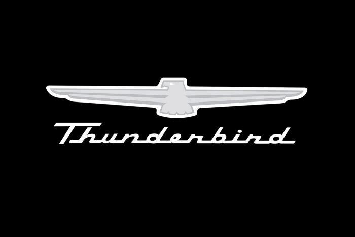Kotflügelschoner Jumbo mit - Thunderbird - Logo, Stück