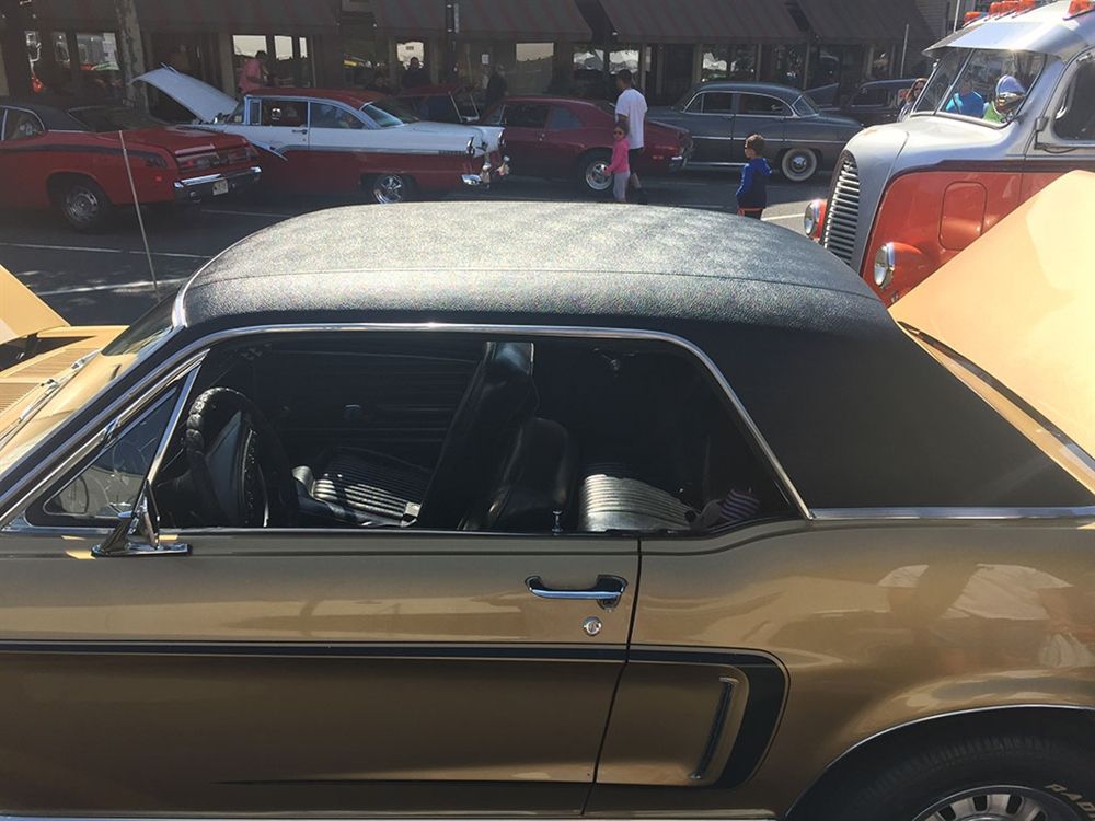 Vinyl-Dach für Coupe, 65-70, schwarz