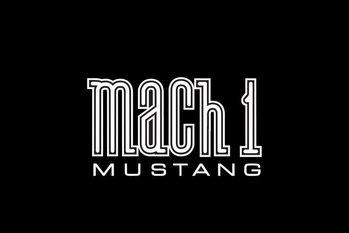 Kotflügelschoner Jumbo mit - MACH I - Logo, Stück